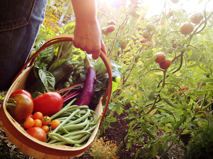 Basket filled with vegetables